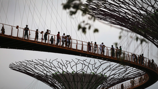Singapore Plans to Test Lampposts Equipped With Face Recognition Surveillance Cameras